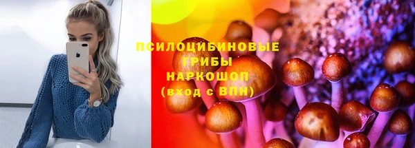 mix Козельск