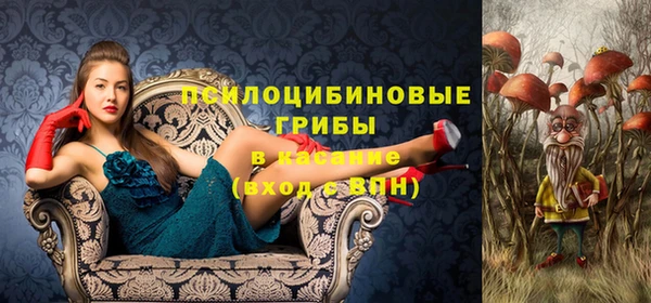 тгк Кодинск