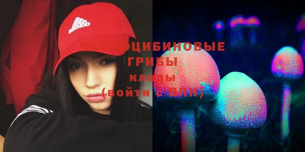 тгк Кодинск