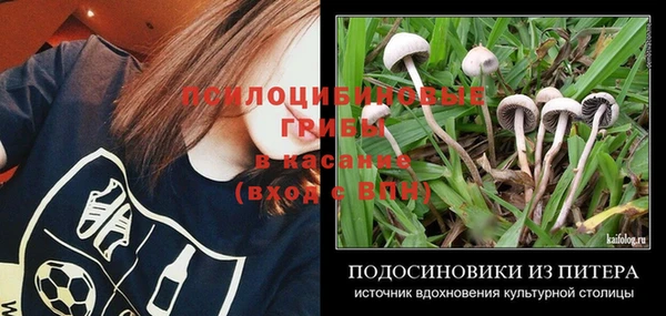 mix Козельск