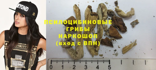 mix Козельск
